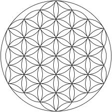 Reiki seance chakra harmonie